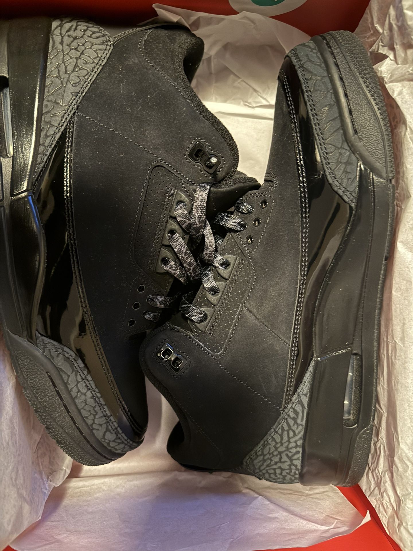 Jordan 3 Black Cat