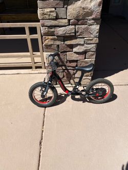 Guardian 12 in Balance Bike