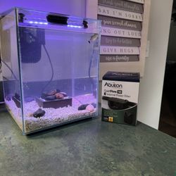 Fluval Fish Tank Complete With Fish, Filter And Light