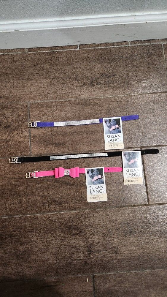Dog Collars