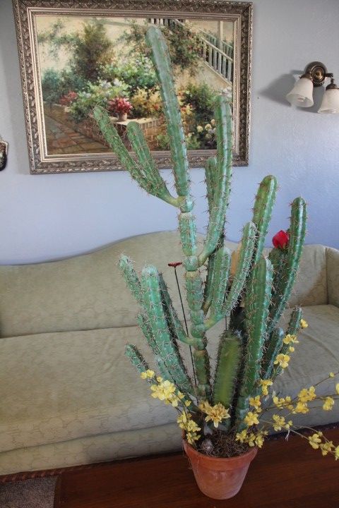 Fake cactus plant in pot
