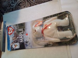 Maple Bear Canadian TY international bear