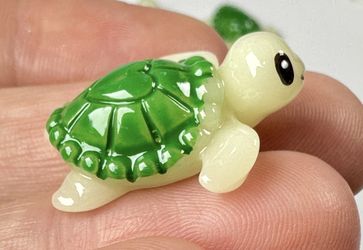 Box Turtle