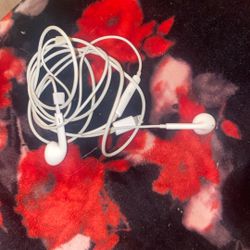 Apple Ear Buds 