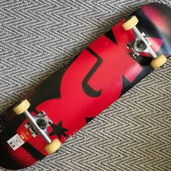 Saved By Skateboarding DGK 8.0