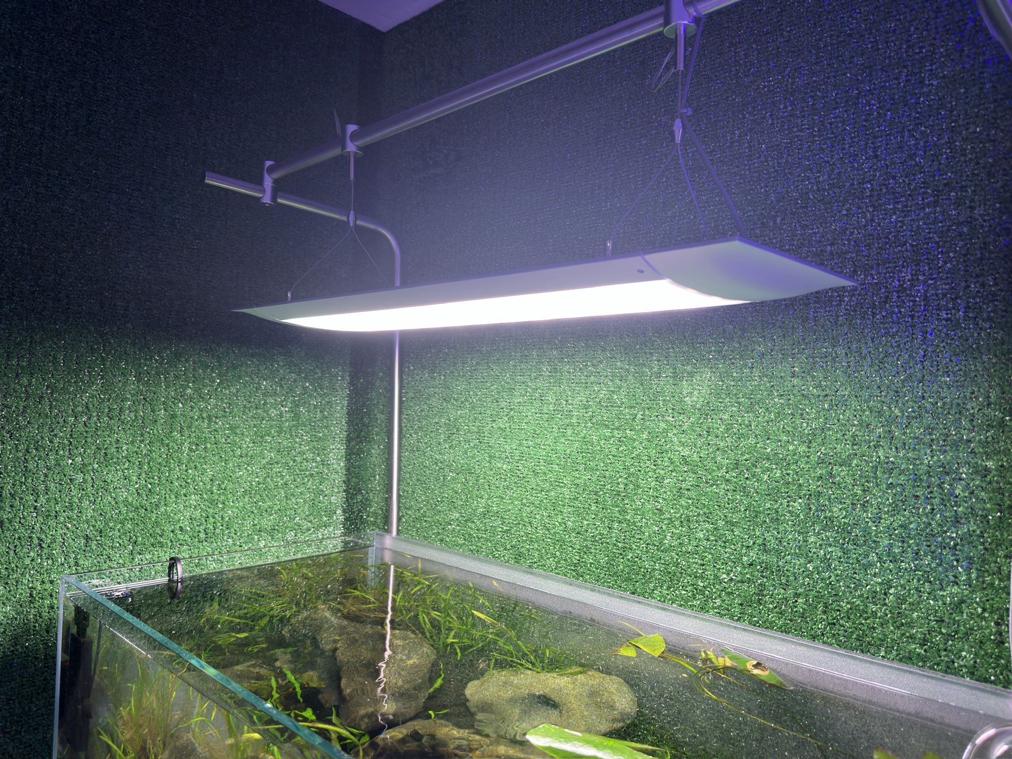 Aquarium Light 