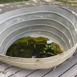 Free Tank Pond Pool