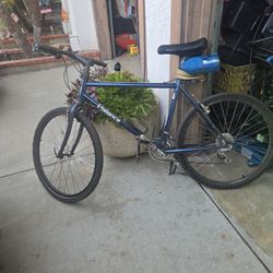 Mens Mt Bike,