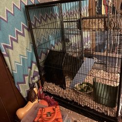 Guinea Pig Cages For Sale Message Me If You Want Information