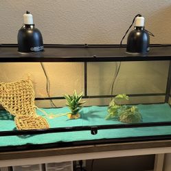 Reptile Terrarium