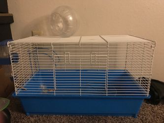 Hamster cage, water bottle, wheel and ball!