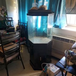 Fish Tank Octagon Shaped