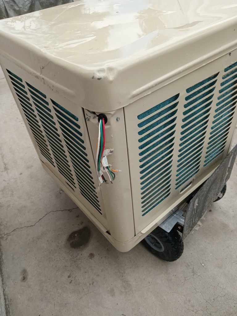 Swamp Cooler Down Draft 3800 CFM 