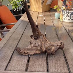 Drift Wood (Fish Tank, Terrarium, Decoration Etc.)