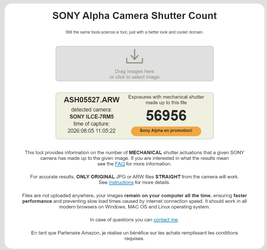 Sony A7RV