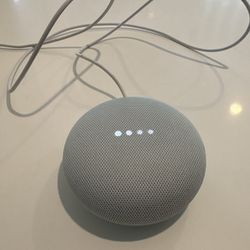 1st Gen Google Home Mini