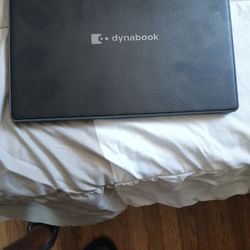 Dynabook E10 
