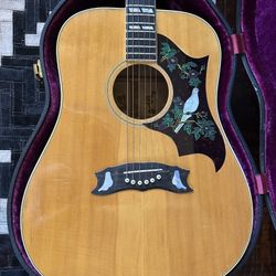 Gibson Dove Custom 1973
