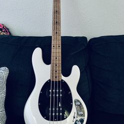 Sterling By Music Man Stingray 34HH