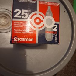 Air cartridge Bee Bee Gun