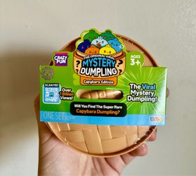 Sealed Mystery Dumpling