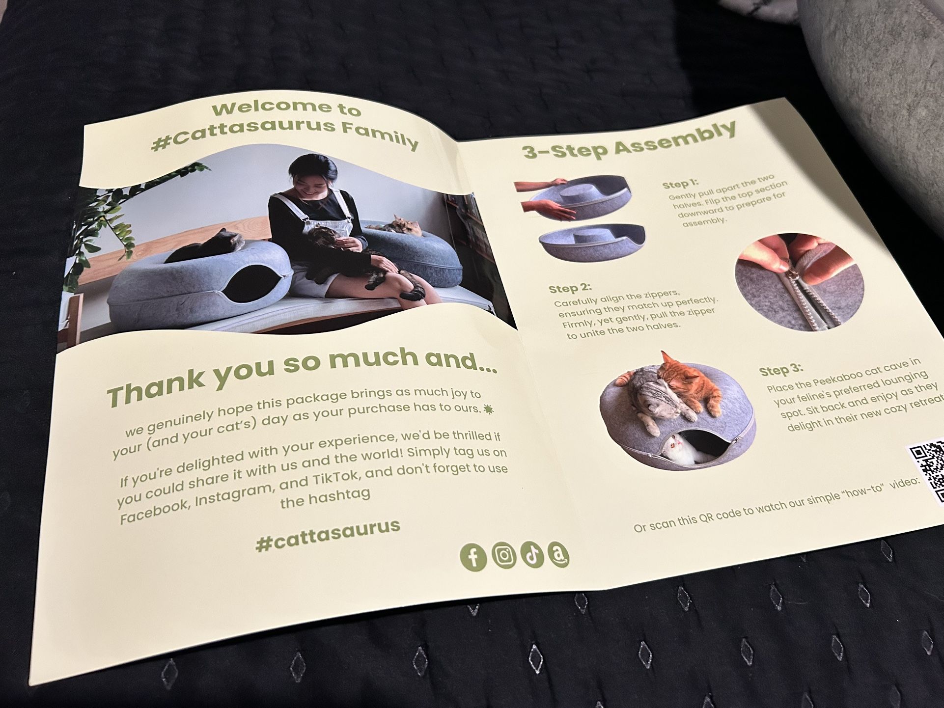 Cattasaurus Peekaboo Cat Cave