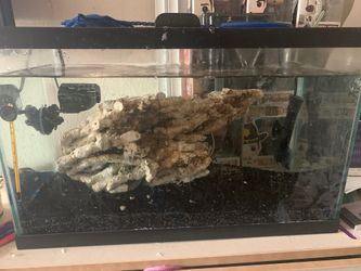 Saltwater tank