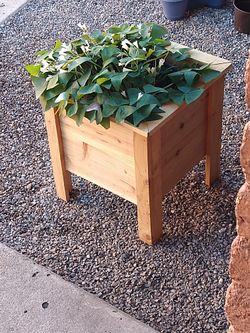 Planter Box Made From Cedar Wood 