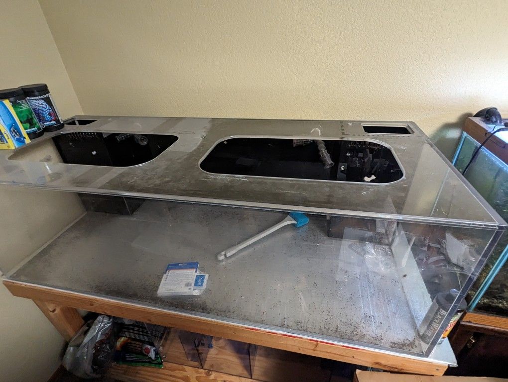 120 Gallon Custom Acrylic Aquarium With Sump Filter And Stand