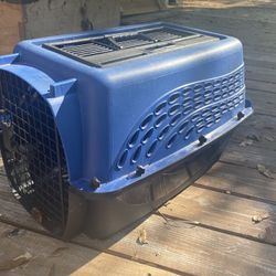 Pet Travel Carrier