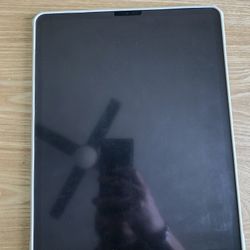 iPad Pro 4th Gen w/ Apple Pencil 256GB