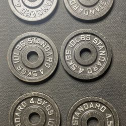 10 Pound Standard Weight Plate Pair 