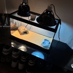 10 Gallon Reptile Tank