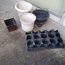 Free  Plant Pots