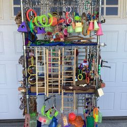 Bird / Parrot / Toys