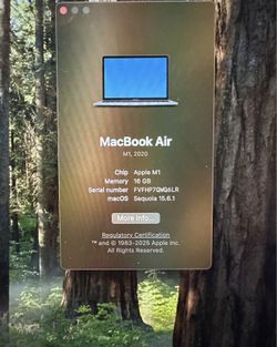 MacBook Air M1 16 GB Ram