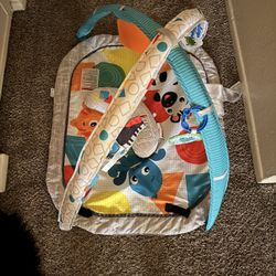 Baby Einstein Play Mat