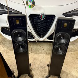 Martin Logan Motion 10 