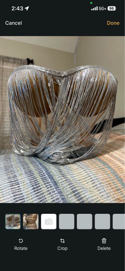 Silver Fringe Corset Top