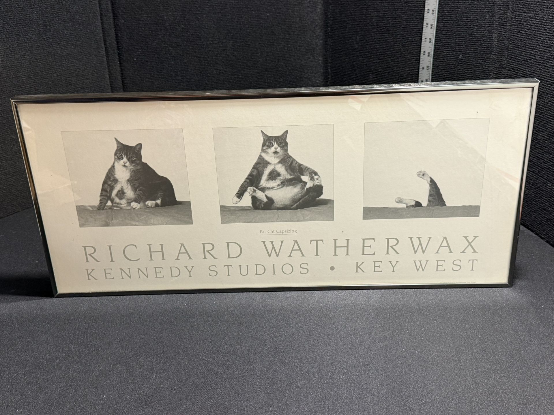 Fat Cat Capsizing Richard Waterwax Framed Art Piece