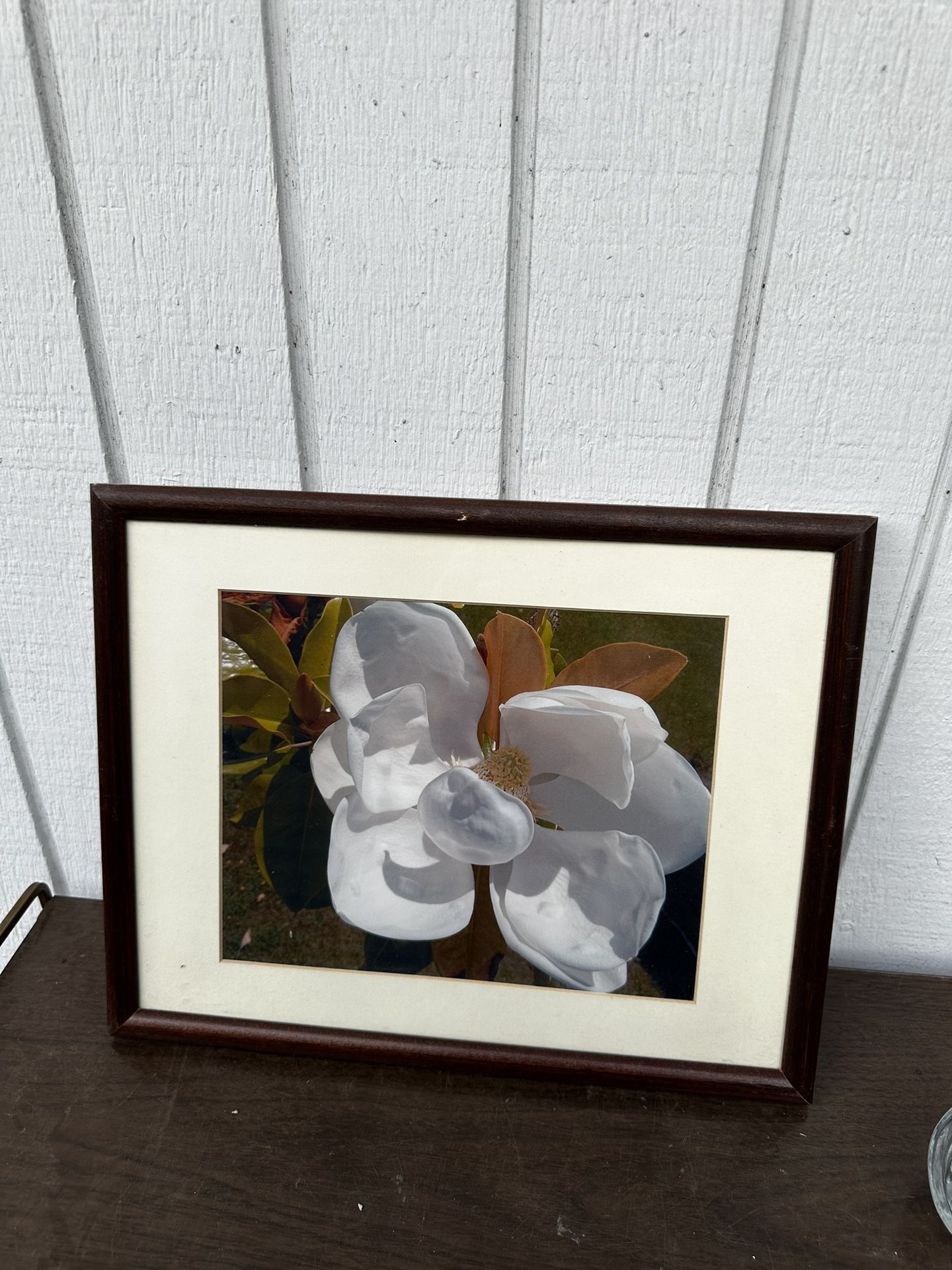 Framed Floral Art Print Picture