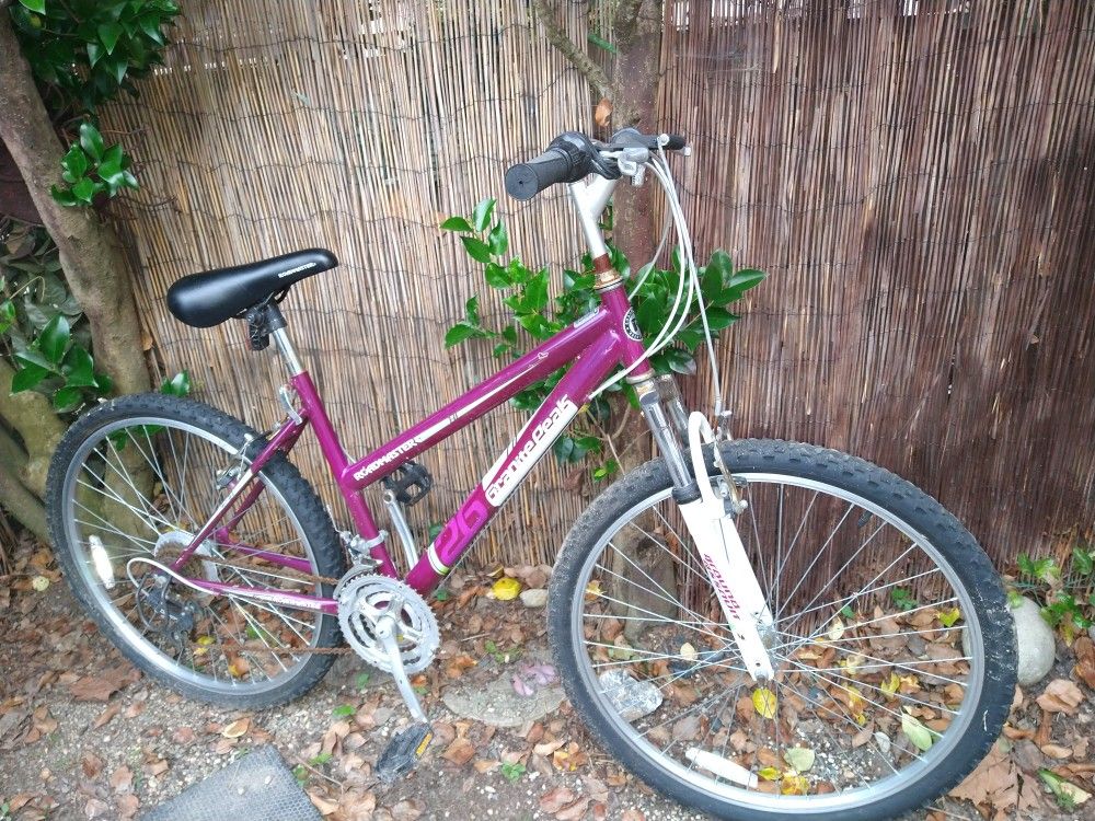 Mountain Bike 