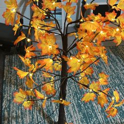 Fall light up tree 