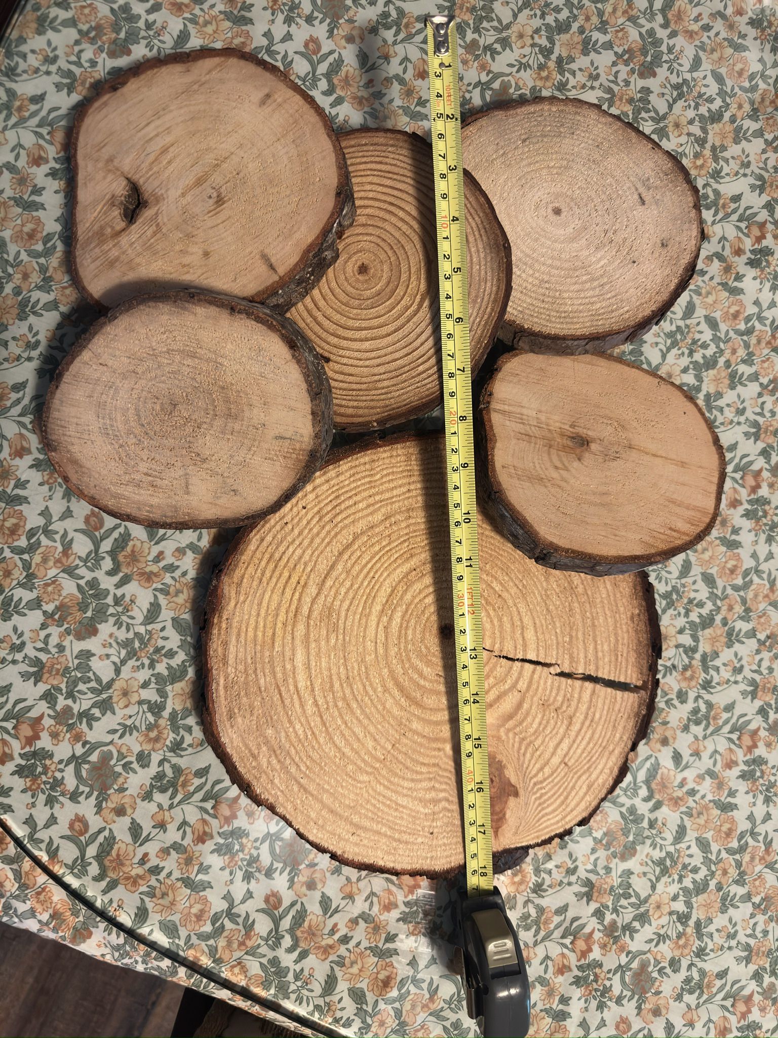 Wood Slices