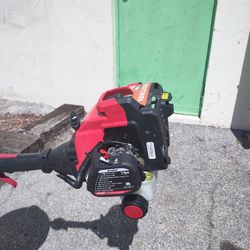 Craftsman 25 cc 2 cycle gas edger