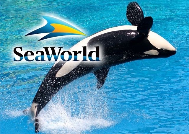 🌊 X11 SEAWORLD 🎟️ 🌊SAN DIEGO 🎢🎟️
