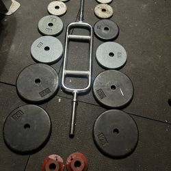 Tri/bicep bar with weights