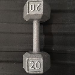 20lbs Dumbell 