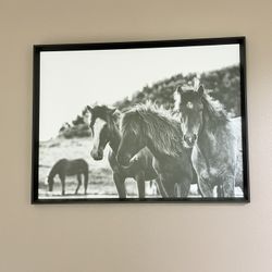 Artwork/wall decor