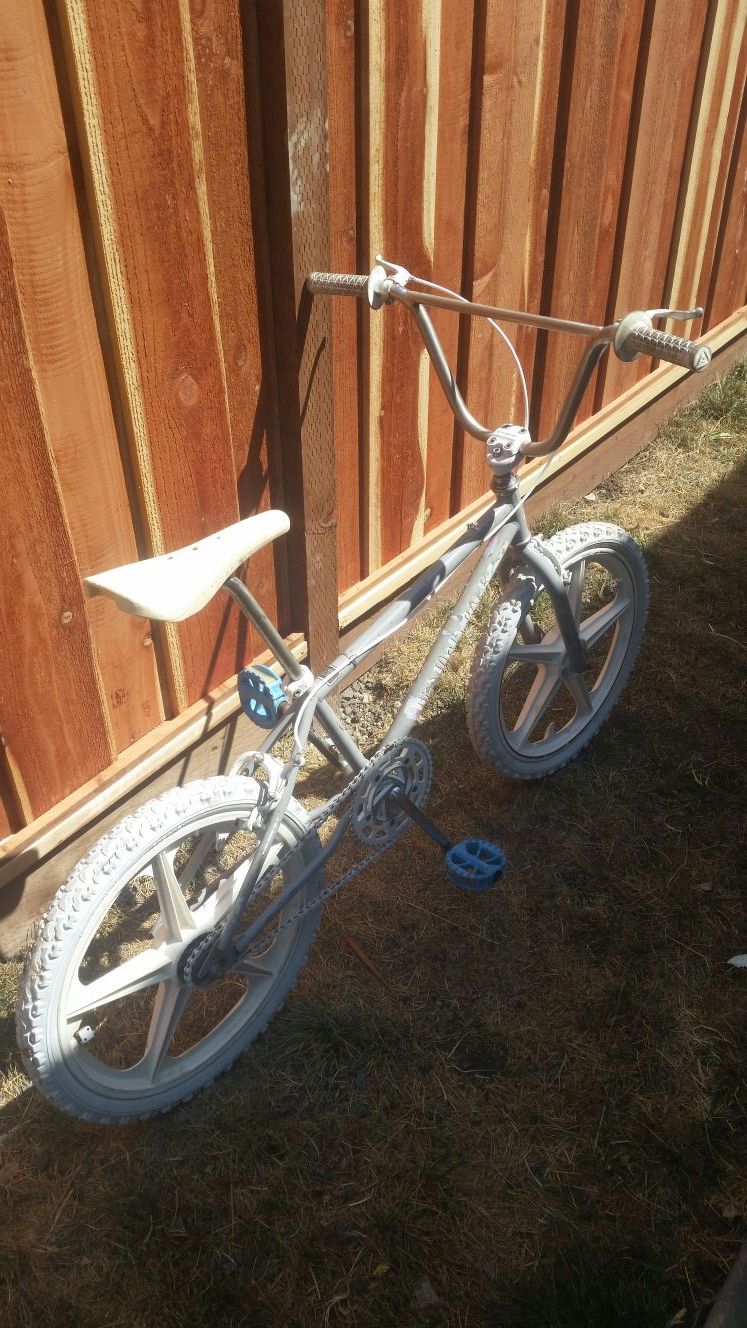 1987 diamondback silver best sale streak
